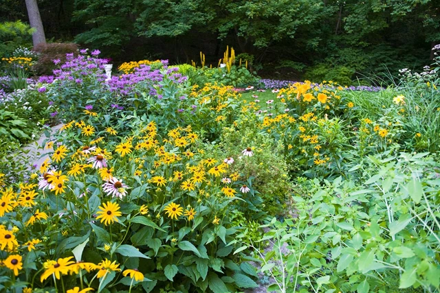 One of or wedding gardens