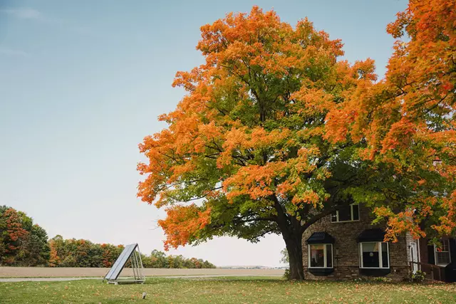 Barn Venues: Fermanagh Farms 5