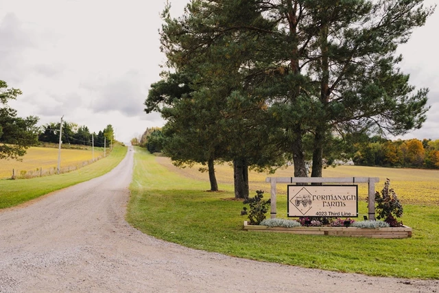 Barn Venues: Fermanagh Farms 3