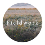 Fieldwork