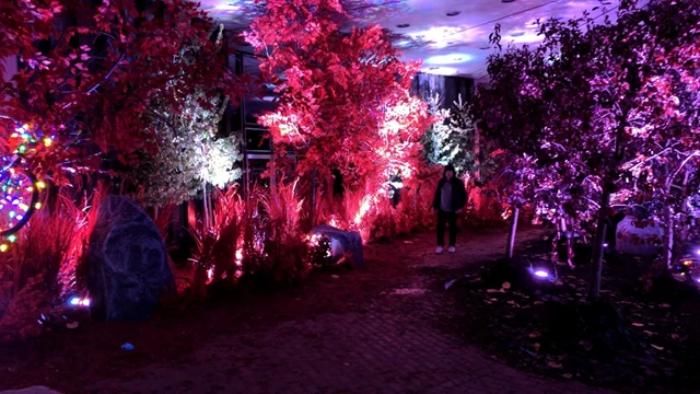 red forest nuit blanche