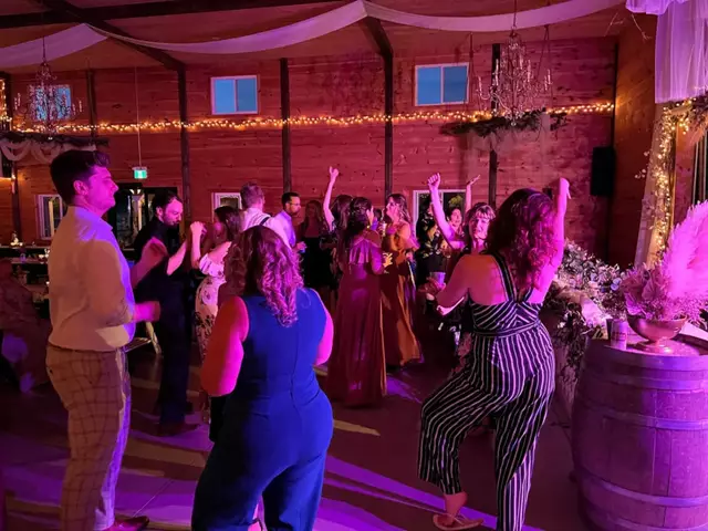 Disc Jockey's / DJs: Flex Vibrations 27