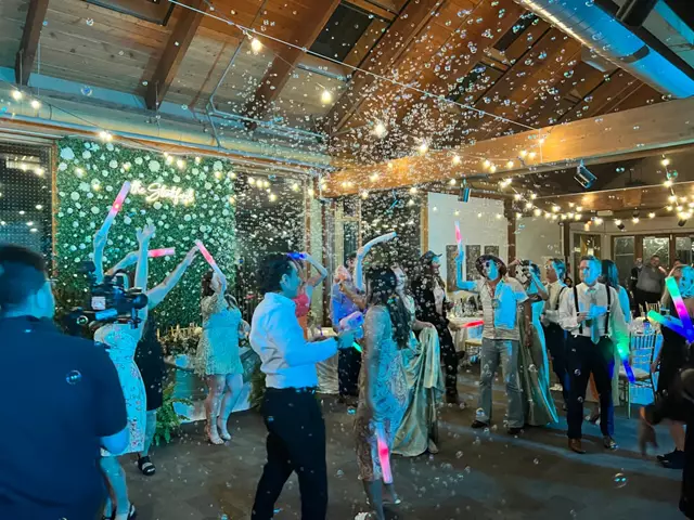 Disc Jockey's / DJs: Flex Vibrations 25