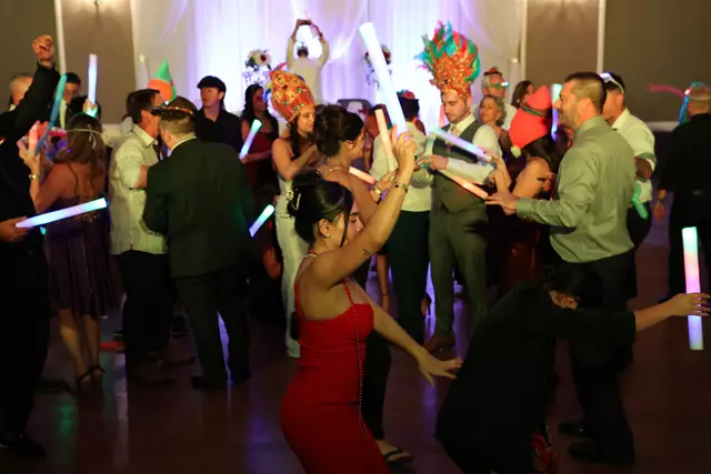 Disc Jockey's / DJs: Flex Vibrations 15