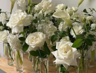 Floral Outlet Co.