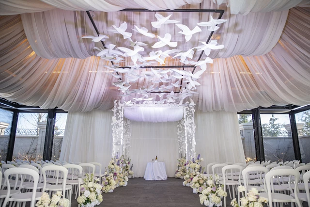 Wonder birds wedding