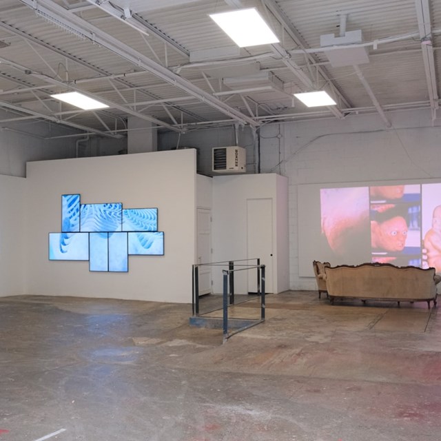 Galleries/Museums: Goat Gallery 1