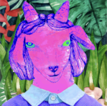 Goat Gallery