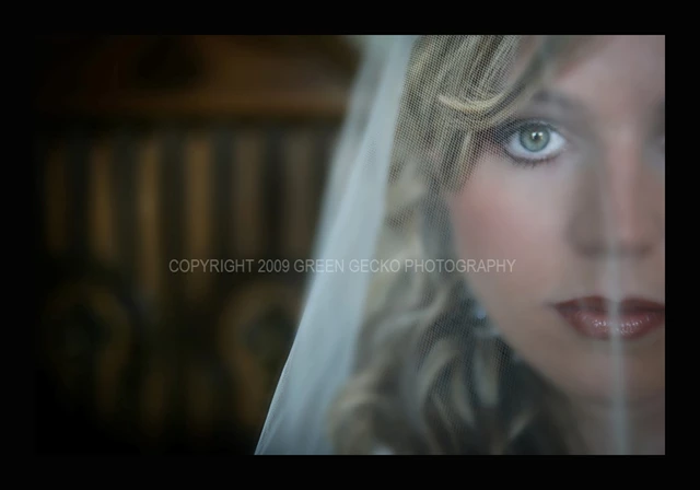 Green Gecko Photography, Vaughan