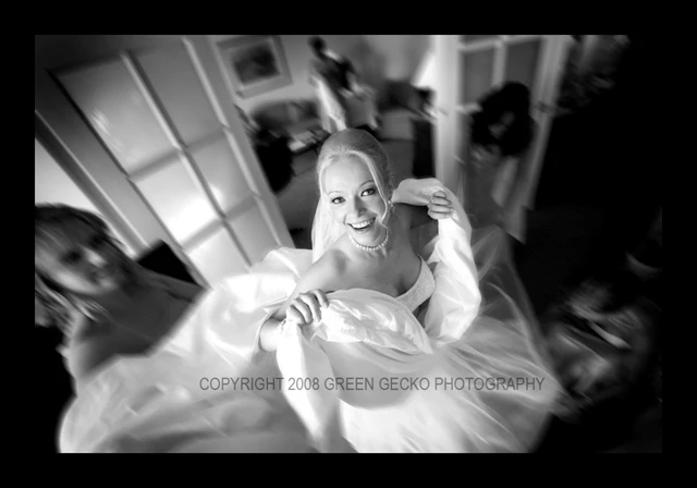 Green Gecko Photography, Vaughan