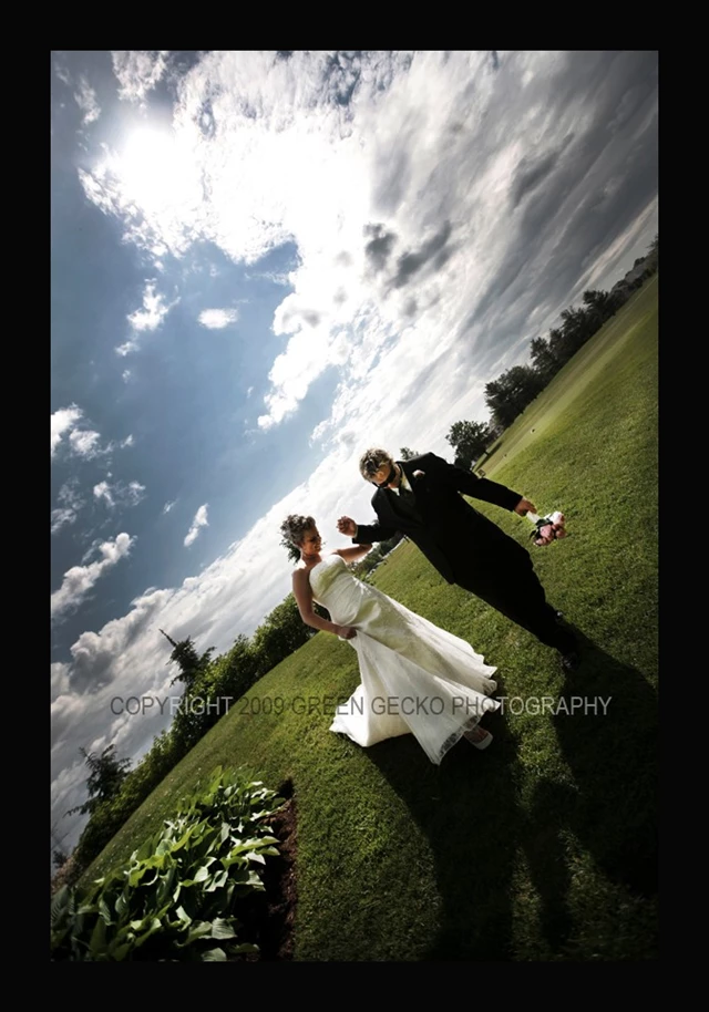 Green Gecko Photography, Vaughan