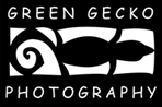 Green Gecko Photography