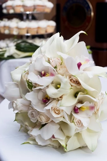 Heartline Pictures, Toronto