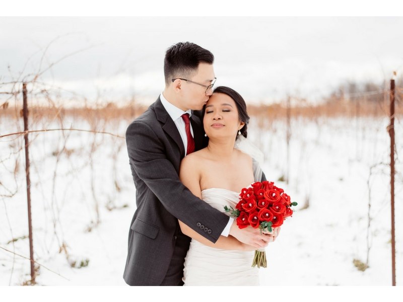 Our vineyard makes for a beautiful and unique photo location in any season.