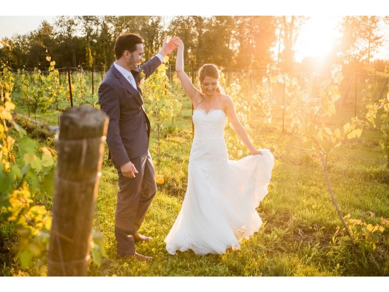 Holland Marsh Wineries