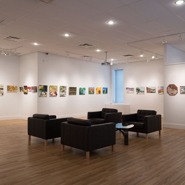 IX Gallery