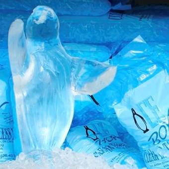 Ice Sculptures: Ice Boy 20