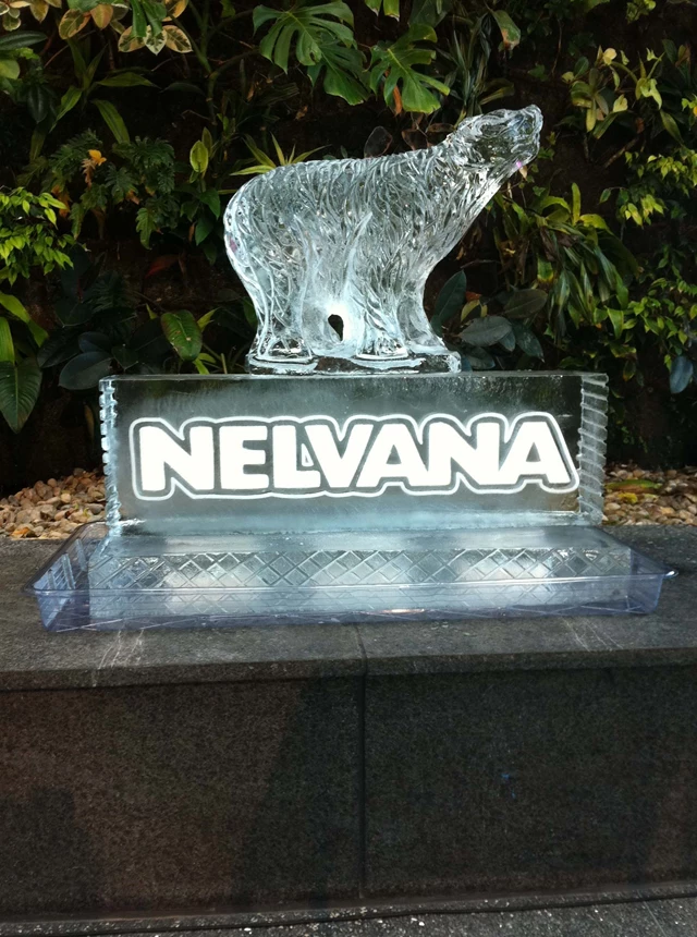 Ice 3 D Logos