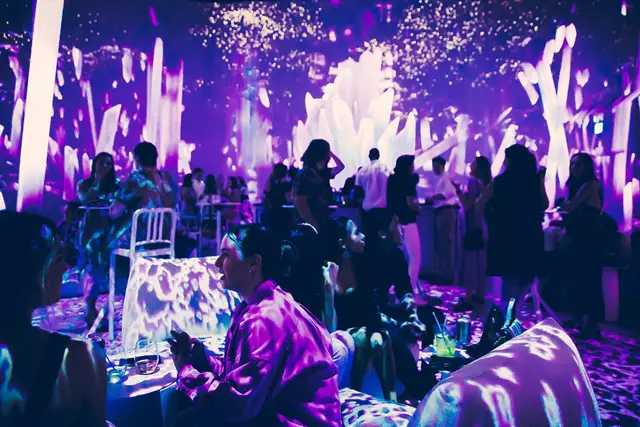 Entertainment Venues: Illuminarium 2