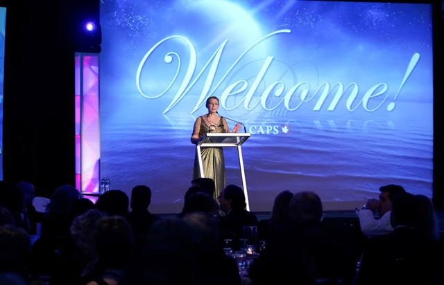 Audio / Visual: Impact AV Solutions 2