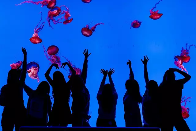 Photographers: Indigo Visual 3