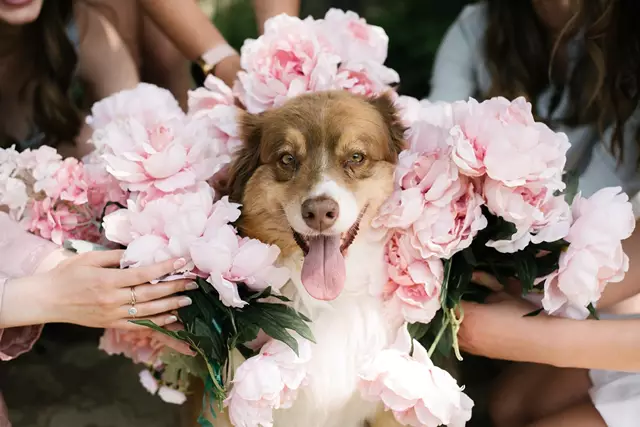 Photographers: Jessica Laforet Photography 2