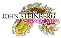 John Steinberg & Associates