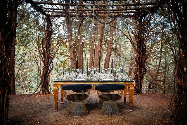 2. FOREST DINNER PARTY FALL - Greco Photo Co. Jackie O RLF/KJC
