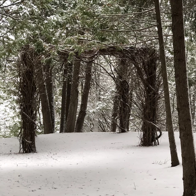 3. FOREST WINTER - RLF/KJC