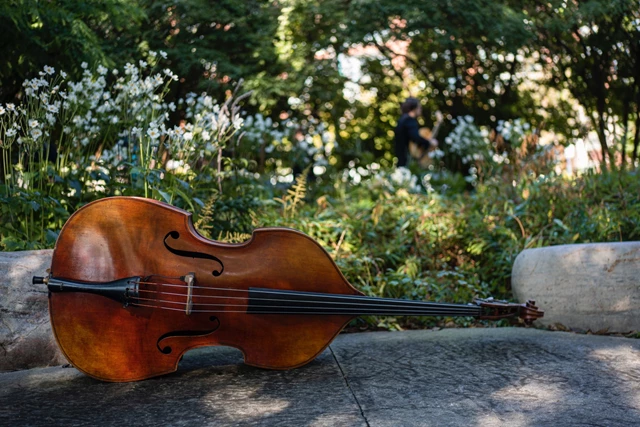 Live Music & Bands: Karina Muhir Jazz Trio 13