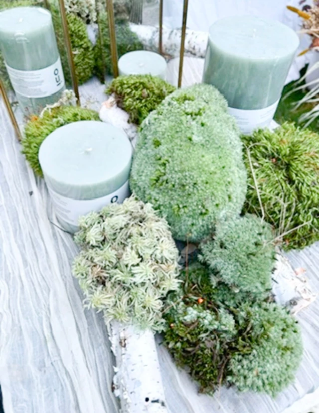 Event Décor: L1 Collective 8