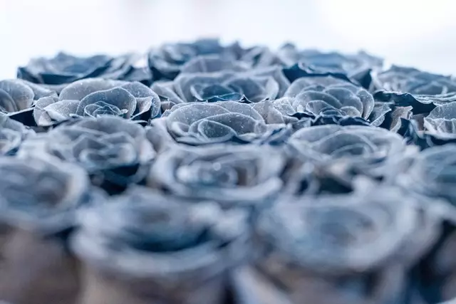 Event Décor: L1 Collective 5