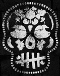 La Carnita