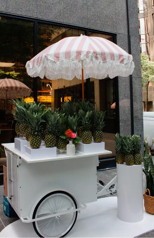 Specialty Desserts: Lalu Fun Foods 10