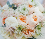 Lavish & Light Photography