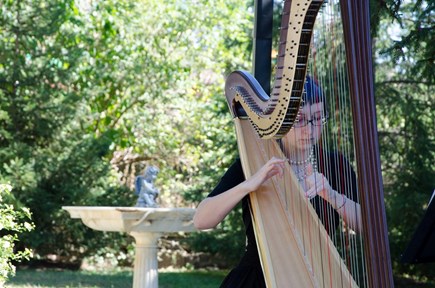 Image - Liane James - Harpist