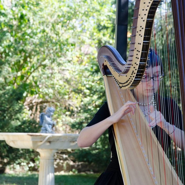 Live Music & Bands: Liane James - Harpist 1