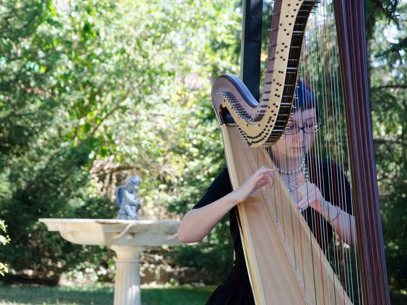 Carousel images of Liane James - Harpist