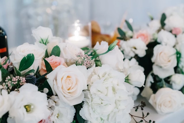 LoveLee Celebrations, Toronto