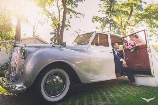 Lucid Limos, Mississauga