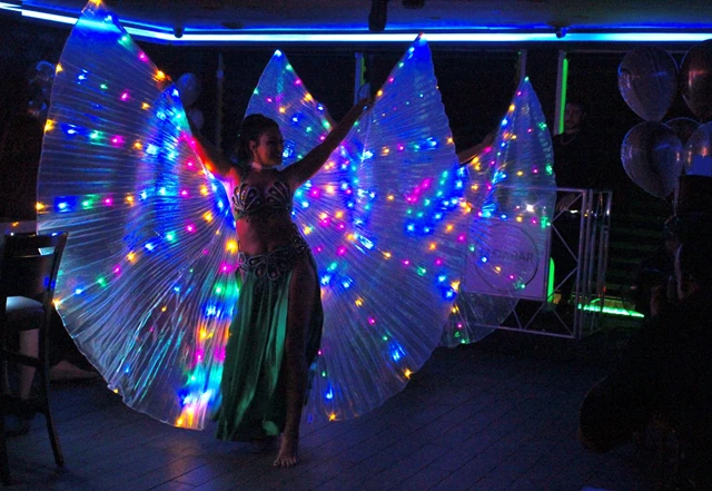 LED Professional Show