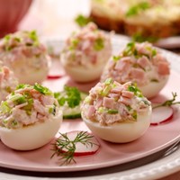 Free canapes with your next event booking