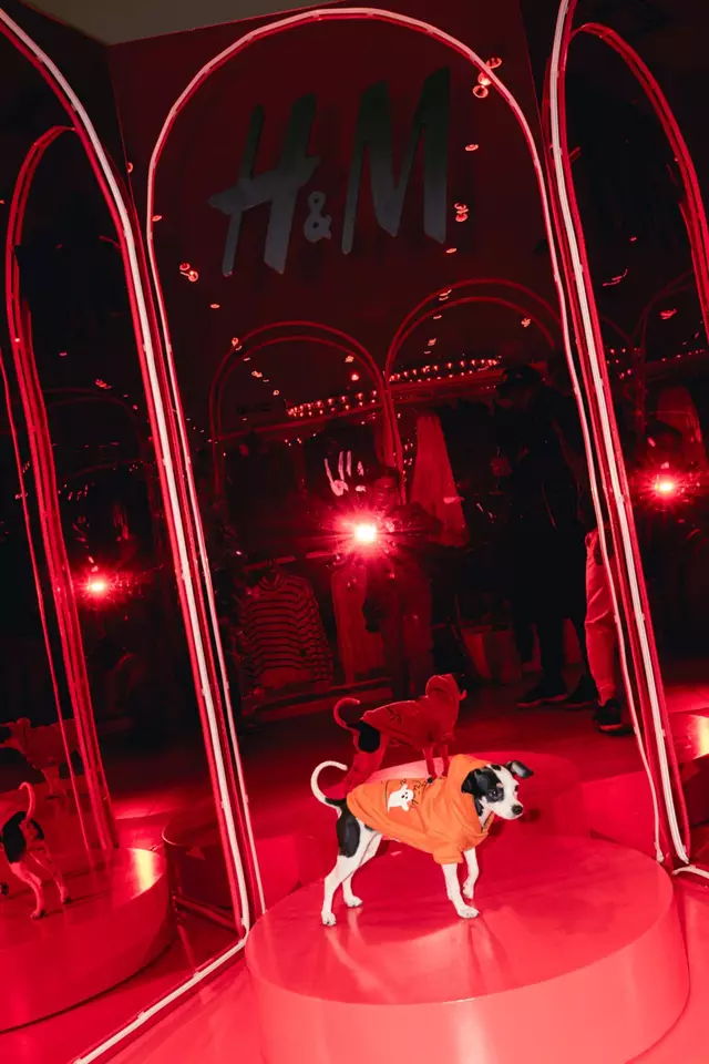 Corporate Planners: Mad Bash Group 26