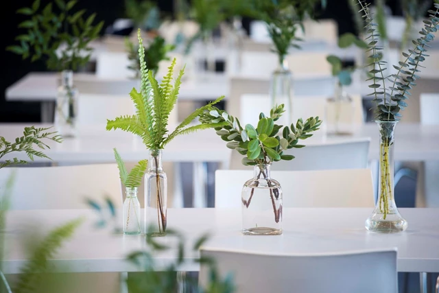 Madison & Ella, Toronto