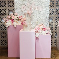 Flower wall & plinths package
