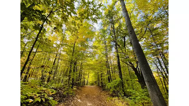 Special Event Venues: Mansfield Outdoor Centre 10