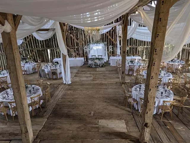 Corporate Caterers: Marigolds & Onions 4