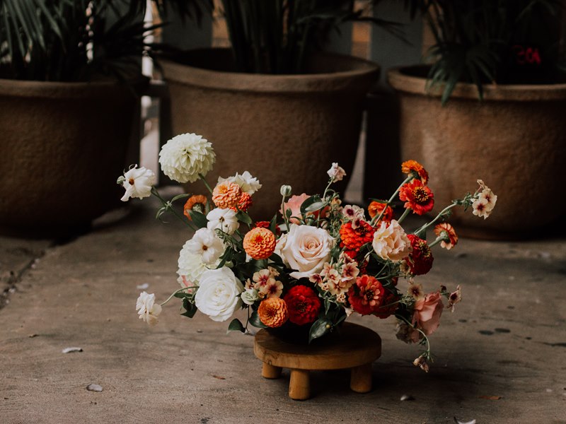 Carousel images of May Flowers