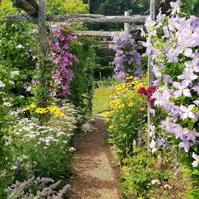 https://www.eventsource.ca/listings/MeadowViewGardens/gallery/meadow-view-gardens-toronto-001-full_size.jpg?1625066675852