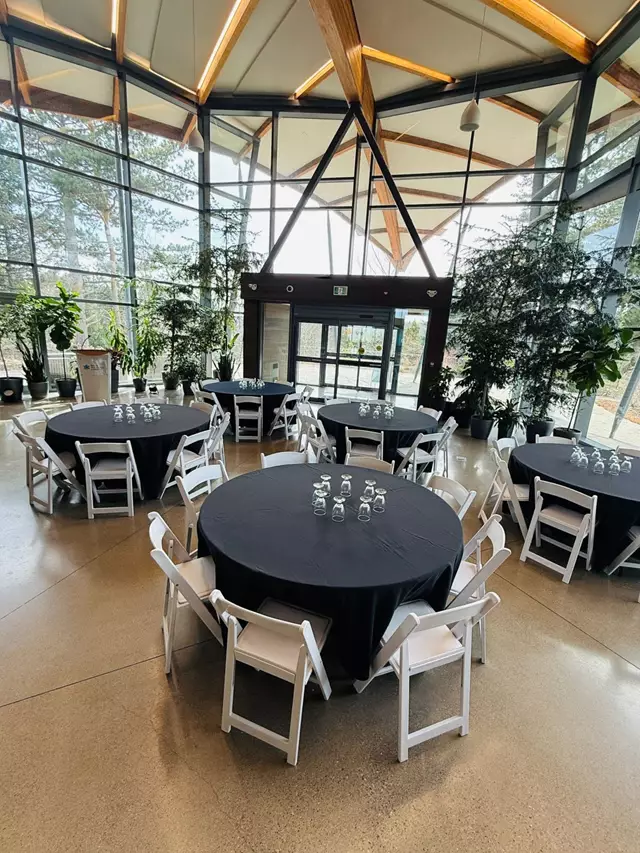 Furniture Rentals: Meadowvale Party Rentals 4